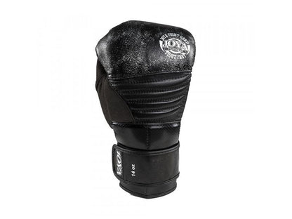 Kickbokshandschoen 'black-silver FALCON' - Leer